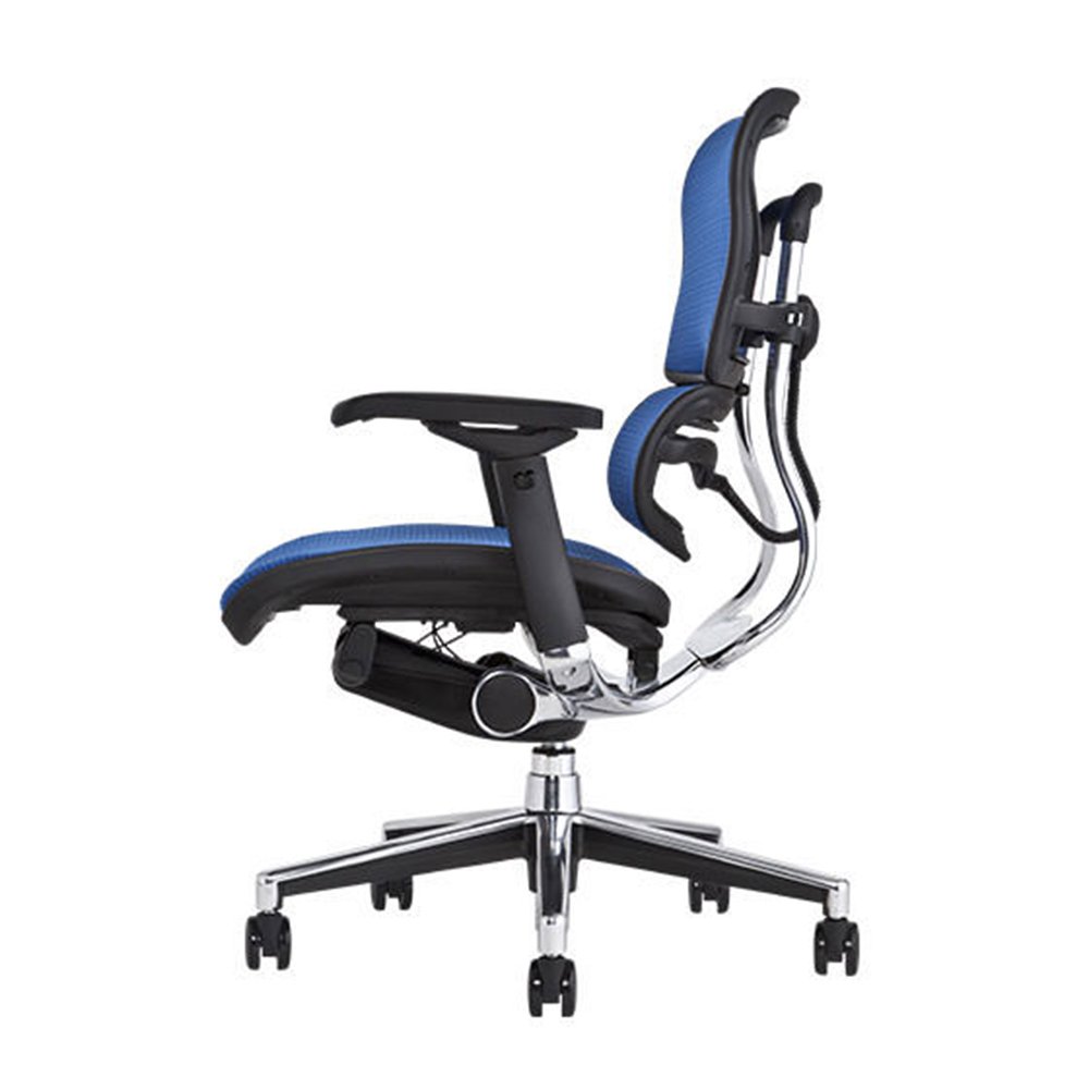 Ergohuman オフィスチェア ベーシック ロータイプ EH-LAM F-BL (KMD-35) wgteh8f Amazon.co.jp: 【旧型】 Ergohuman オフィスチェア ベーシック ロー